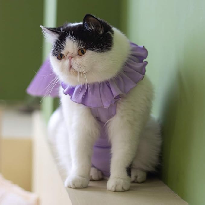 Cat Recovery Suit for Abdominal Wounds and Skin Diseases, Breathable Surgical Recovery Shirt After Surgery Wear Anti Licking Wounds,E-Collar Alternative for Cats Pet Kitten(RSC01-grey-l)