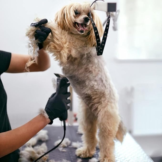 Audoc 3Pcs 40 Blade Dog Grooming Clipper Replacement Blades Compatible with Wahl/Oster Dog Clippers,Detachable Ceramic Blade & Stainless Steel Blade,Size 40 Cut Length 1/100"(0.25mm)