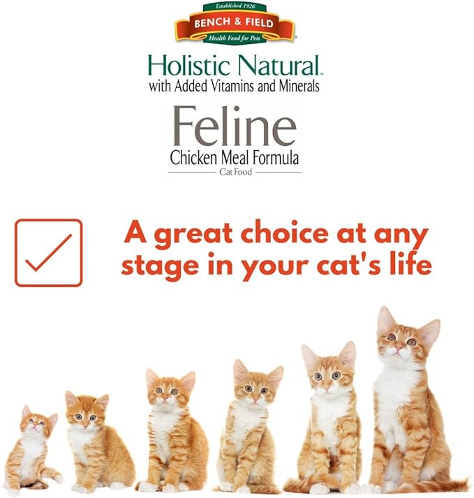 Bench & Field Holistic Natural Premium Adult Dry Cat Food, Chicken Meal and Brown Rice Recipe 25 lb Bag (Pack of 1)
