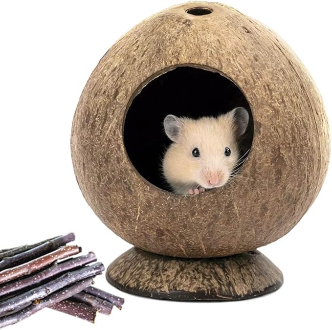 Coconut Hamster Hideout Hamster House Gerbil Cage for Small Animals with a Bundle of Apple Sticks a Carrot (Brown)