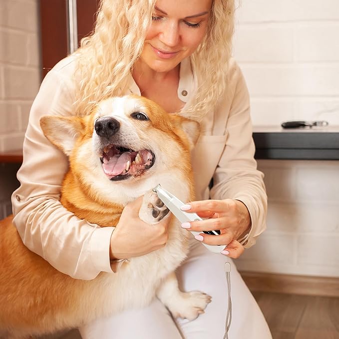 2 Mode Paw Trimmer for Dogs & Cats - Electric Quiet Dog & Cat Grooming Trimmer, Rechargeable Clipper with LED Light, 2 Blades, Waterproof for Paws/Ears/Face