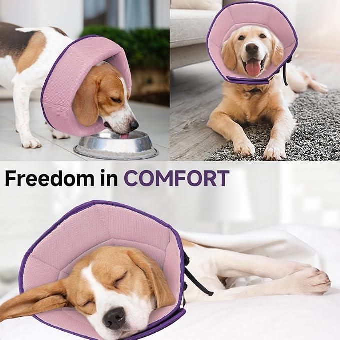 Dog Cone Collar L, Soft Cones for Large Medium Small Dogs,Adjustable Dog Cone Alternative to Stop Licking, Comfy Elizabethan Collar for After Surgery Wound Healing & Hot Spots Purple