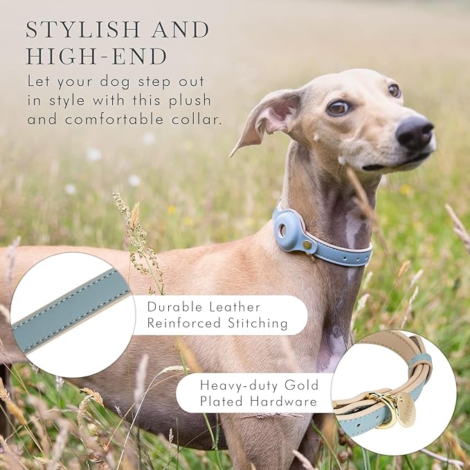 Cupertino Dog Collars, Harnesses & Leashes Made from Vegan Leather with Dog Tracker Device Holder Adjustable Dog Collar - Color Blue, Large