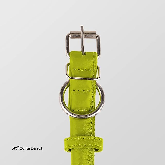 CollarDirect Rolled Leather Dog Collar, Soft Padded Round Puppy Collar, Handmade Genuine Leather Collar Dog Small Large Cat Collars 13 Colors (13-16 Inch, Lime Green Textured)