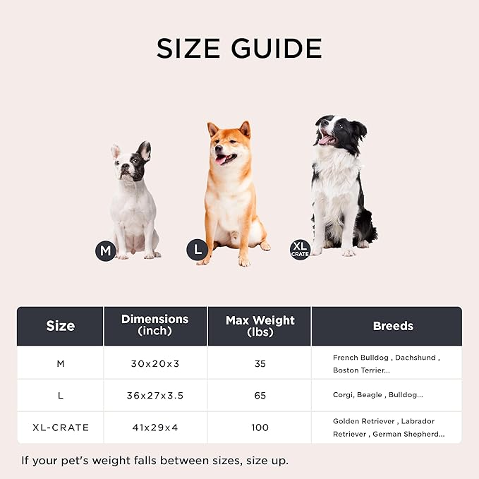 Bedsure Orthopedic Dog Bed for Medium Dogs - Flat Memory Foam Pet Mattress with Removable Washable Cover and Egg Crate Foam, Suitable for Pet Up to 35 lbs, 30x20x3 Inches, Black