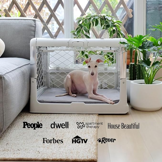 DIGGS Revol Collapsible Dog Crate with Wheels - Premium Portable Dog Crate - Safe, Stylish, and Convenient Indoor Kennel (Ash, Medium)