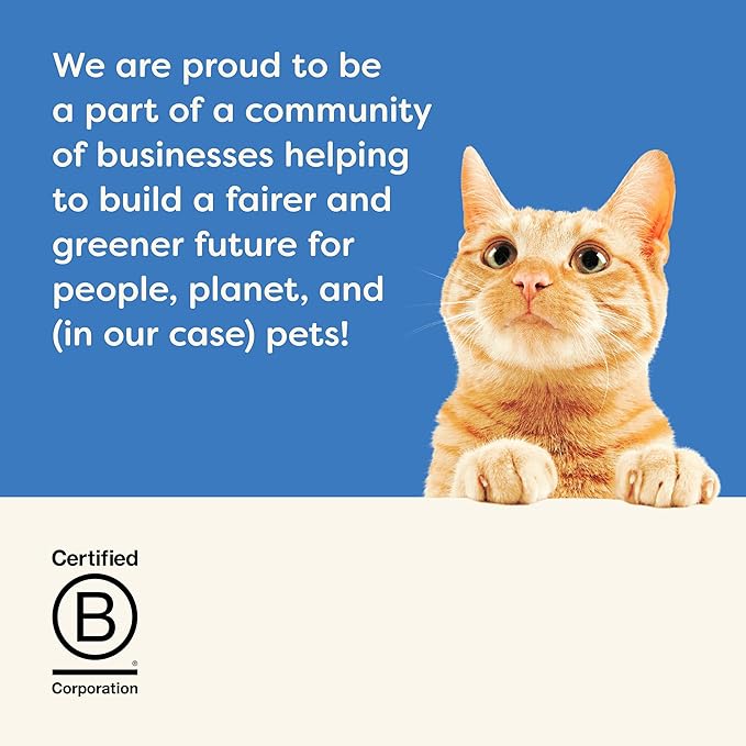 Applaws Natural Wet Cat Food in Gravy, Limited Ingredient Wet Cat Food Pouches, No Additives, Made with Natural Ingredients, Tuna Fillet in Gravy (12 x 2.47oz Pouches)