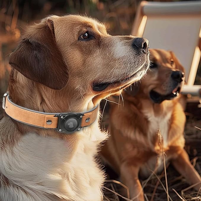 AirTag Dog Collar - Leather Dog Collar with Air Tag Holder | IPX8 Waterproof, Reflective, High - End, Adjustable Soft Padded | Dog GPS Tracker Collars Fit for Medium Large Dogs (Light Brown, XL)