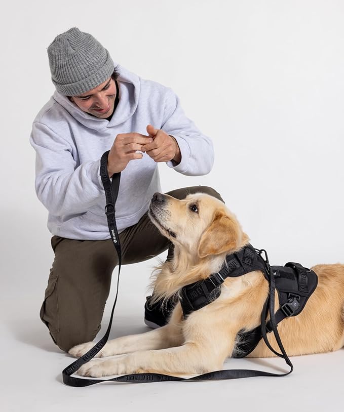 2025 New Edition, Fei & Eve MagEase Dog Harness - 3-Second Magnetic Buckles | 3-Point No-Pull Control | Heavy-Duty 900D Nylon | Dual Safety Handles | Breathable Mesh | Adjustable Fit | Large,Black