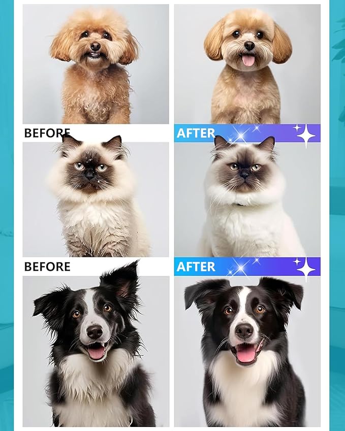 Dog Grooming Vacuum, Bawetech B2 5-in-1 Pet Grooming Kit with Dog Clipper, 11000Pa Suction | 2L Capacity | 113℉ Dryer | Low Noise Pet Hair Removal Tool Pet Supplies, 2025 Upgraded