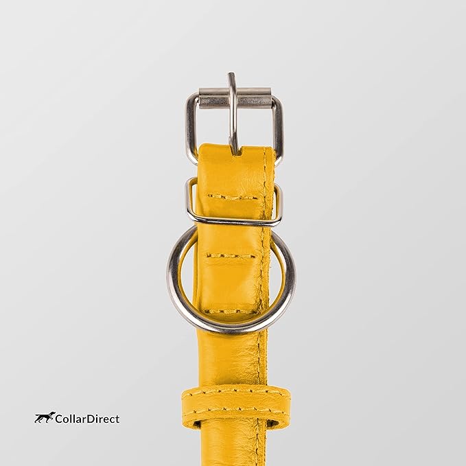 CollarDirect Rolled Leather Dog Collar, Soft Padded Round Puppy Collar, Handmade Genuine Leather Collar Dog Small Large Cat Collars 13 Colors (8-11 Inch, Yellow Textured)