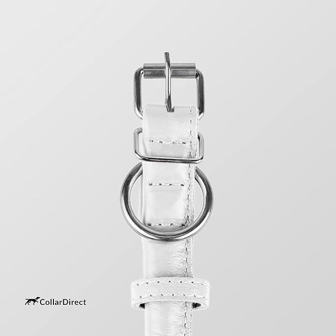 CollarDirect Rolled Leather Dog Collar, Soft Padded Round Puppy Collar, Handmade Genuine Leather Collar Dog Small Large Cat Collars 13 Colors (6 Inch, White Textured)