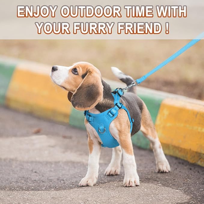 BARKBAY Dog Harness, Reflective Adjustable Puppy No Pull Harness, Breathable Soft, Blue, XXS