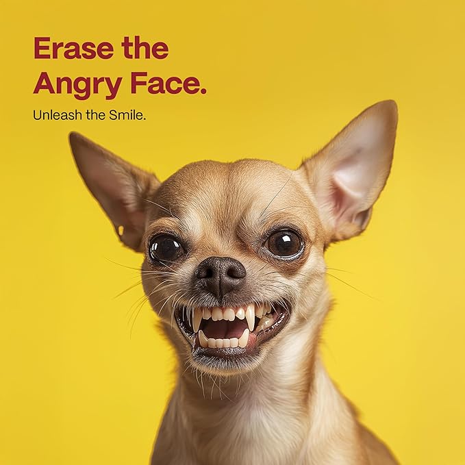 DOCO Dog Teeth Cleaning Wipes Dental Finger Wipes for Cats & Dogs Remove Plaque & Tartar, Freshen Breath, No Rinse, Easy & Effective Pet Tooth Cleaning Kit for Oral Care, Chicken Flavor, 100 Count