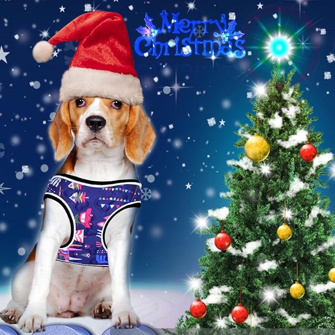 Comfort Fit Dog Harness No Pull with Adjustable Buckles Soft Padded Reflective Choke Step-in Pet Vest with Easy Control Handle for Small Medium Large Dogs & Puppies for Walking Running Training