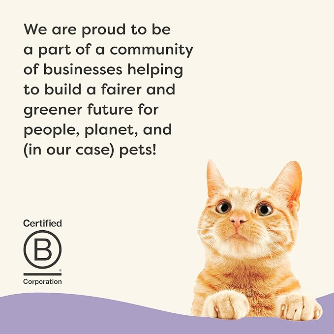 Applaws Vitality Wet Cat Food in Broth, Natural Canned Cat Food, Wet Food for Cats with Added Vitamins and Minerals, Grain Free, Carrageenan Free, Variety Selection in Broth (24 Count, 2.47 oz Cans)