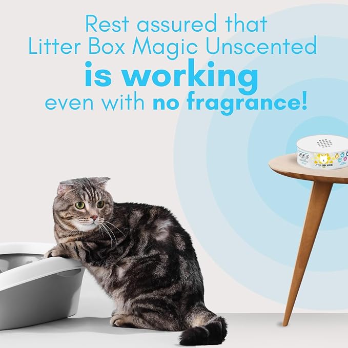 Cat Litter Deodorizer Jar (1 Fresh Scent and 1 Fragrance Free, 16 Oz, Pack of 2) - Cat Litter Odor Absorber Gel - Litter Box Pet Air Freshener - Litter Odor Eliminator to Freshen Air