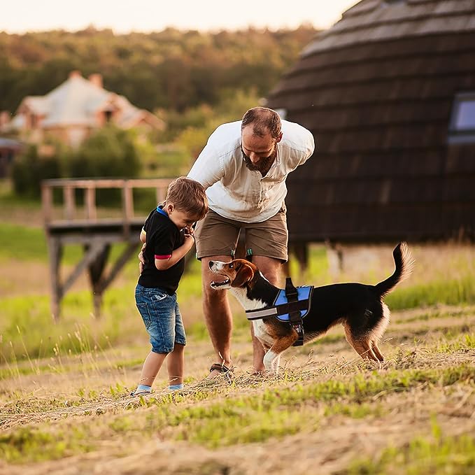 Dogline Dog Harness, Reflective No-Pull Adjustable Vest with Handle for Walking, Training, Breathable, No - Choke Harness for Small, Medium or Large Dogs Room for Patches Girth 22"-28" in Cyan Blue