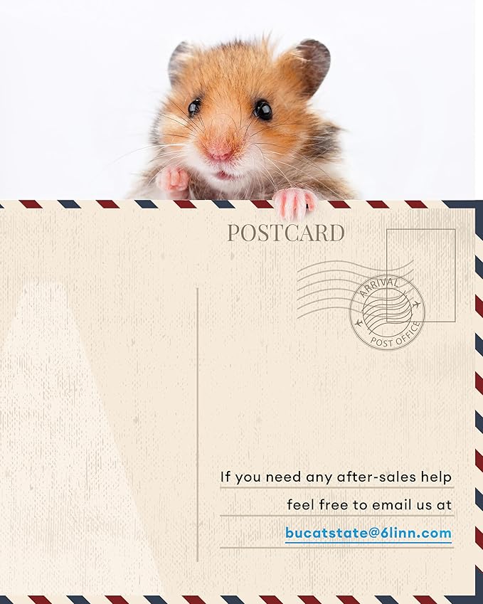 BUCATSTATE Hamster Cage 3.0: Large Metal Rat Cage Stackable with Top Access Easy Assemble 39.3L x 19.7W x 20.4H Inches Dwarf Syrian Hamster Tank for Gerbil Mouse (5.4 ft², Black)