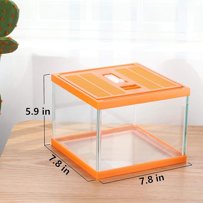 crapelles Reptile Terrarium kit Color Orange Spider Container Tarantula Box cage Gecko Habitat Insect Enclosure pet Tank Frog Carrier Tortoise Snail Container Hermit Crab House Cricket breeding
