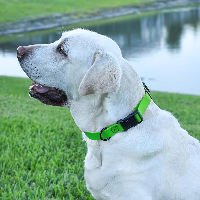 Dogline Biothane Waterproof Dog Collar with Quick Release Buckle Strong Coated Nylon Webbing with Odor- Proof for Easy Care Easy to Clean Fits Small Medium Large Dogs, Lime Green 1" W 15-25" L