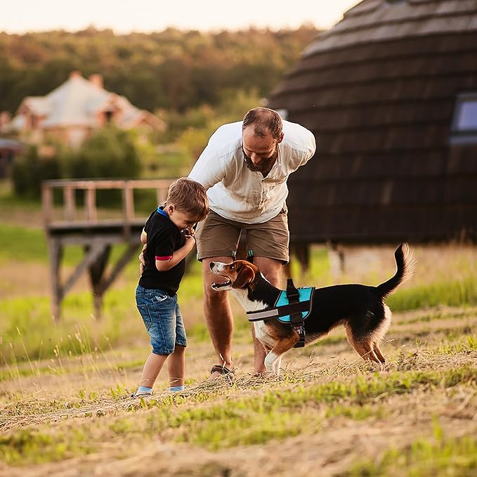 Dogline Dog Harness, Reflective No-Pull Adjustable Vest with Handle for Walking, Training, Breathable, No - Choke Harness for Small, Medium or Large Dogs Room for Patches Girth 22"-28" in Turquoise