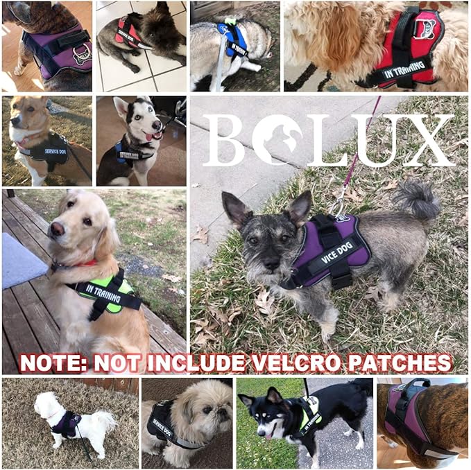 Bolux Dog Harness, No-Pull Reflective Dog Vest, Breathable Adjustable Pet Harness with Handle for Outdoor Walking - No More Pulling, Tugging or Choking (Black, S)