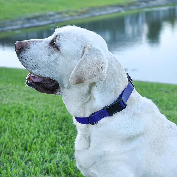 Dogline Biothane Waterproof Dog Collar with Quick Release Buckle Strong Coated Nylon Webbing with Odor- Proof for Easy Care Easy to Clean Fits Small Medium or Large Dogs, Royal Blue 3/4" W 12-19" L