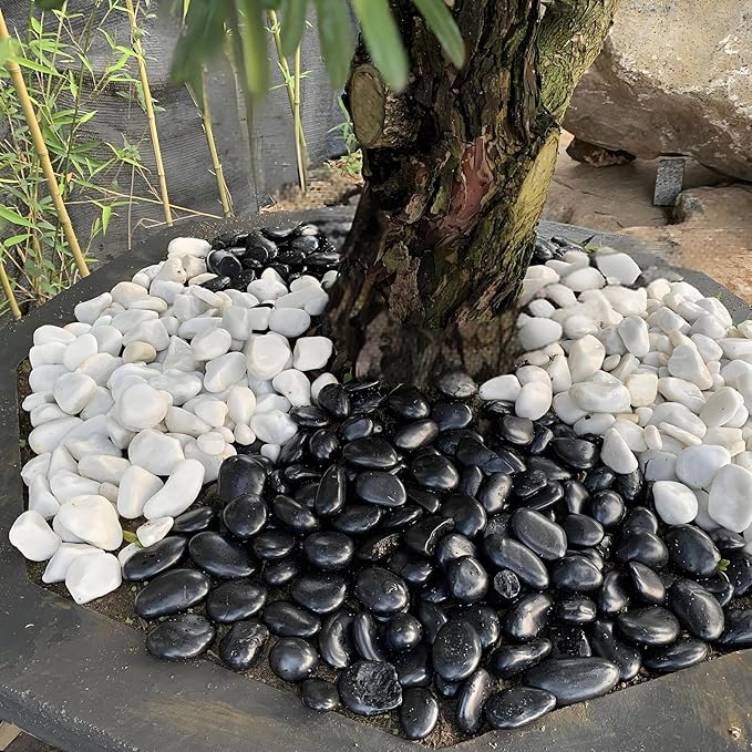 5 lbs Black River Rocks - 2-3 inch Pebbles for Plants, Indoor & Outdoor. Decorative Stones for Planters, Vases, Aquariums & Gardens