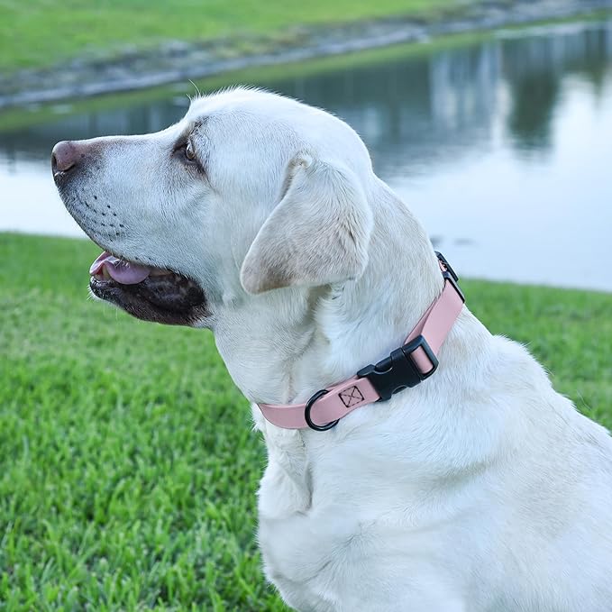 Dogline Biothane Waterproof Dog Collar with Quick Release Buckle Strong Coated Nylon Webbing with Odor- Proof for Easy Care Easy to Clean Fits Small Medium Large Dogs, Lavender 5/8" W 9-14" L