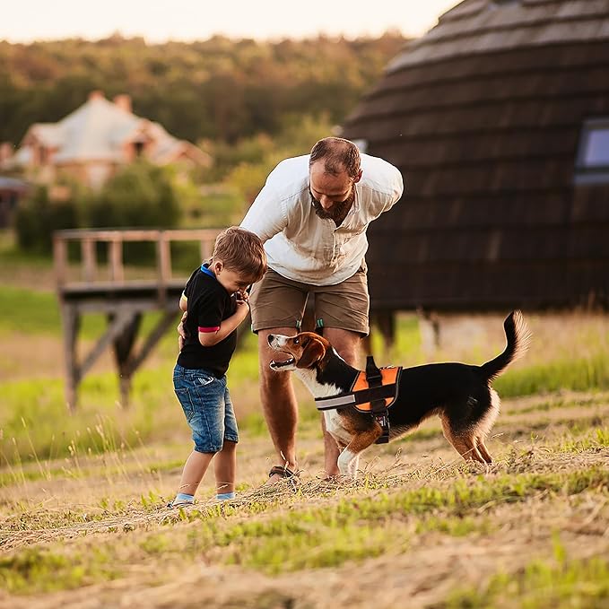 Dogline Dog Harness, Reflective No-Pull Adjustable Vest with Handle for Walking, Training, Breathable, No - Choke Harness for Small, Medium or Large Dogs Room for Patches Girth 27 to 34 in Orange