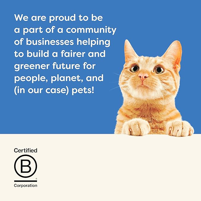 Applaws Natural Wet Kitten Food in Broth, Limited Ingredient Canned Wet Kitten Food, No Additives, Made with Natural Ingredients, Tuna Fillet & Salmon in Broth (24 x 2.47oz Cans)