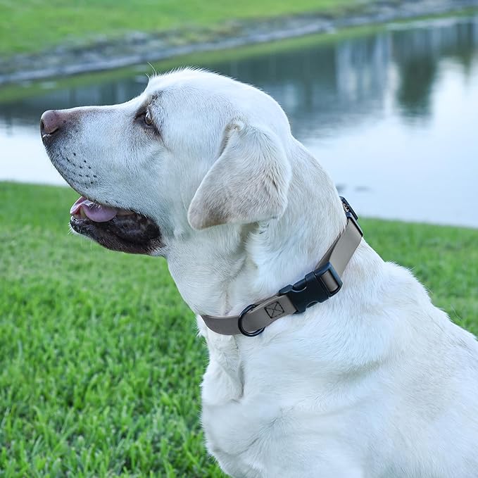 Dogline Biothane Waterproof Dog Collar with Quick Release Buckle Strong Coated Nylon Webbing with Odor- Proof for Easy Care Easy to Clean Fits Small Medium Large Dogs, Grey 3/4" W 12-19" L