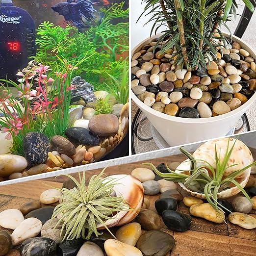8LB 1"-2" Decorative River Rocks for Plants, Polished Pebbles for Garden Landscaping, Planters, Aquariums, Vase Fillers – Indoor & Outdoor Decor