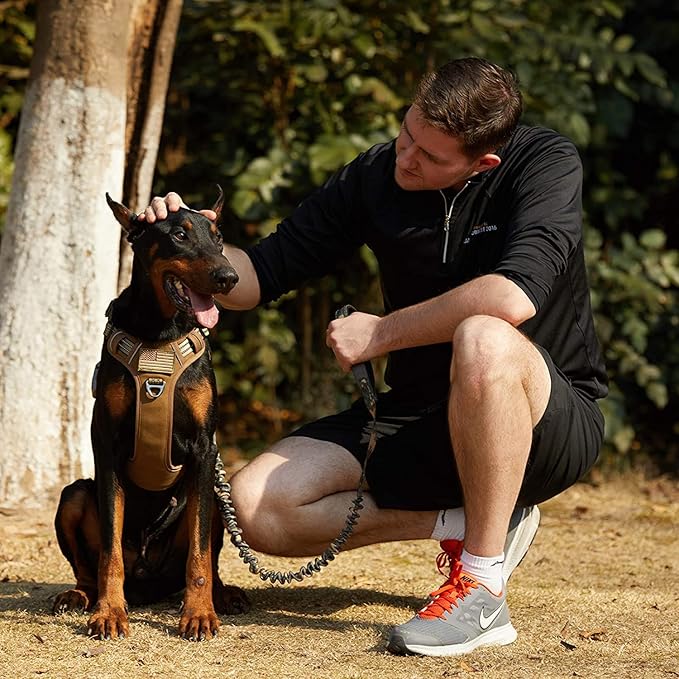 BUMBIN Dog Harness, Tactical XS, Brown, No Pull, Adjustable, Reflective, Soft Cotton, for Small Dogs Training, Fit Smart