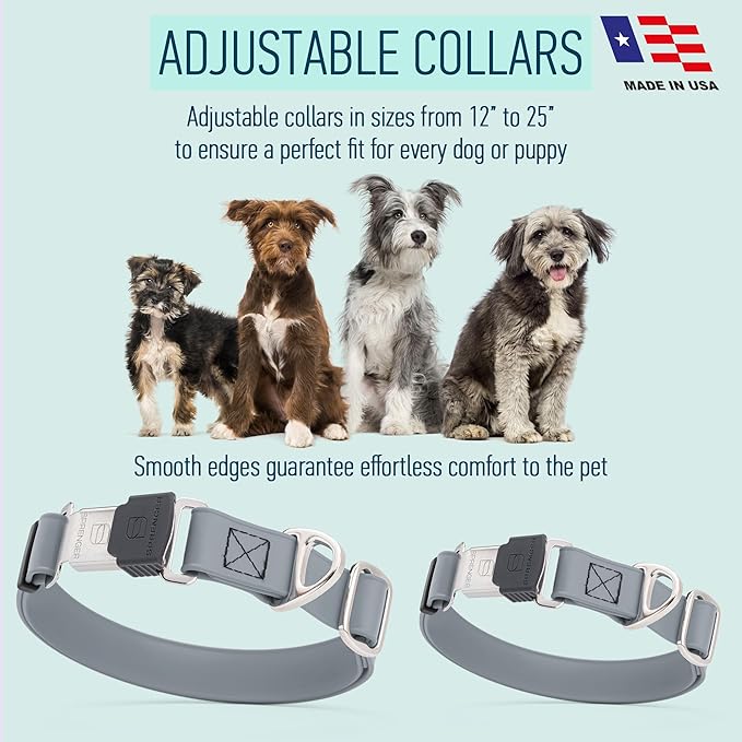 Dogline Biothane Waterproof Dog Collar with Herm Sprenger Black Stainless Steel Quick Release Buckle – Heavy Duty Tactical Durable Collar for Dogs – Comfortable and Safe Pet Collar W 1" L 15-25" Gray