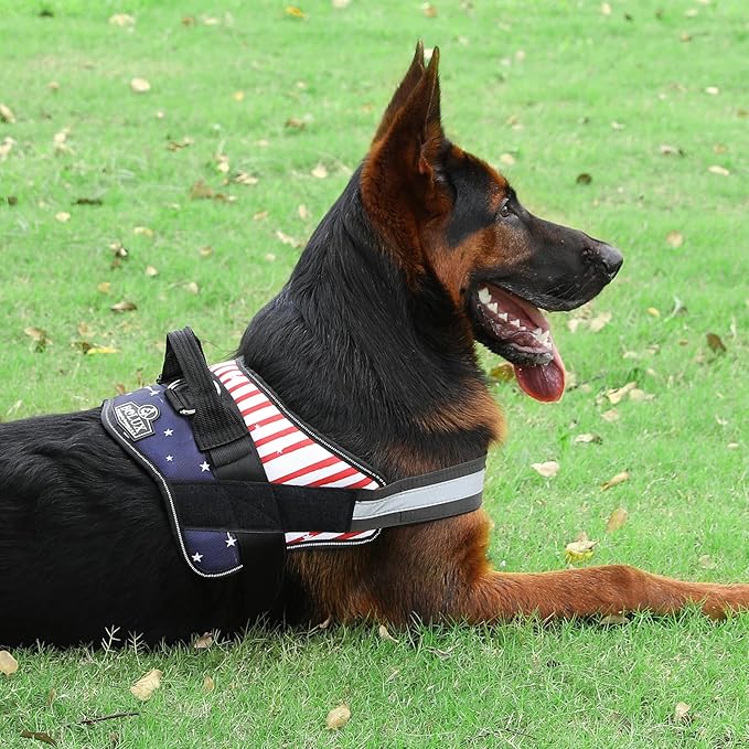 Bolux Dog Harness, No-Pull Reflective Dog Vest, Breathable Adjustable Pet Harness with Handle for Outdoor Walking - No More Pulling, Tugging or Choking (Flag, Small)