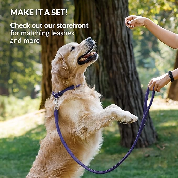 CollarDirect Rolled Leather Dog Collar, Soft Padded Round Puppy Collar, Handmade Genuine Leather Collar Dog Small Large Cat Collars 13 Colors (8-11 Inch, Purple Smooth)