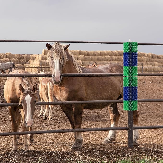 2PCS Livestock Scratch Brush, 17.5 x 7.8 Inch Goat Brushes for Grooming, Horse Brushes for Scratching, Livestock Brushing with 4 Screws for Horse, Elk, Cattle, Pig, Sheep(Green)