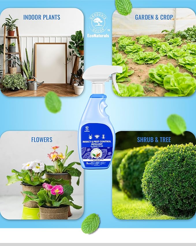 All Natural Bug Spray for Home - Non-Toxic Peppermint Oil Insect and Pest Control Kit - 8 oz Ready-to-Use Bug Spray - Indoor and Outdoor Protection- Ant Spray - Spider Repellent Indoor