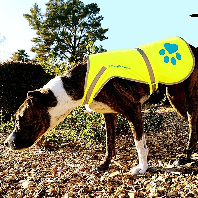 Dog Reflective Vest – Hi-Vis Fluorescent Visibility That Helps to Safeguard Your Pet On/Off Leash in Urban & Rural Areas (Yellow, Medium)