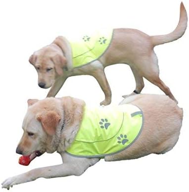 Dog Reflective Vest - Comfortable Jacket Safety Hunting, High Visibility for Dogs with Elastic Straps and Clasp Closure-Orange, Medium