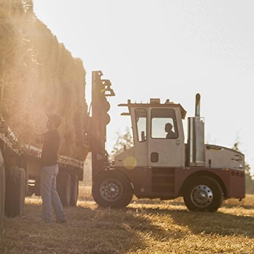 Blue Mountain Hay | Fresh Teff Grass Hay (40 Ounce) | Low NSC, High Fiber, Healthy Weight Management | High-Altitude Hay Pet Food for Rabbits, Guinea Pigs, Chinchillas, Hamsters, and Other Small Pets