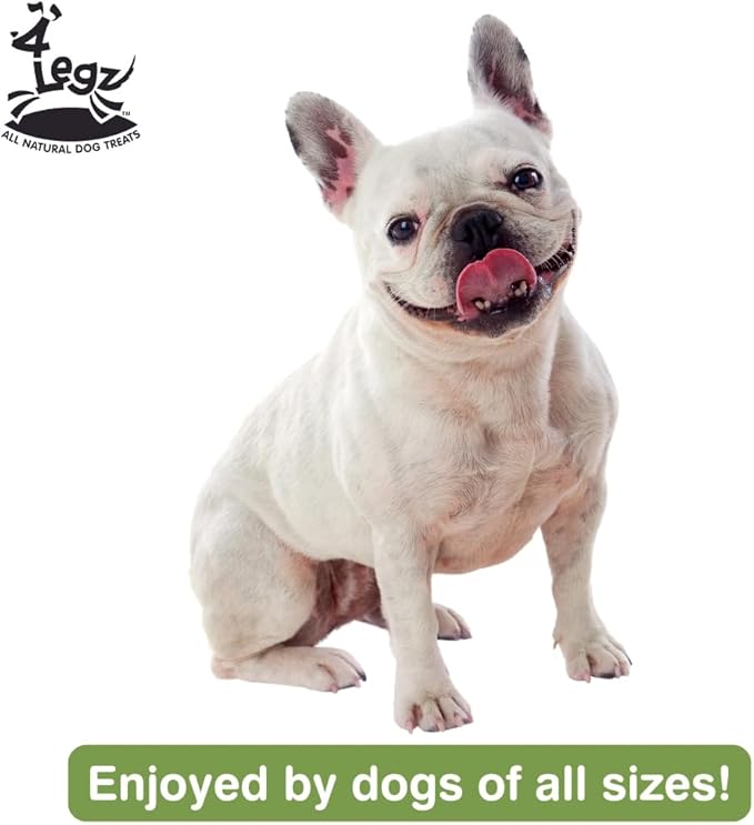 Chehalis Mint Dog Treats – Healthy, Crunchy, Vegan Biscuits with Whole & Real Ingredients – All Natural & USA‐Baked, (7 Ounce, Pack of 3)