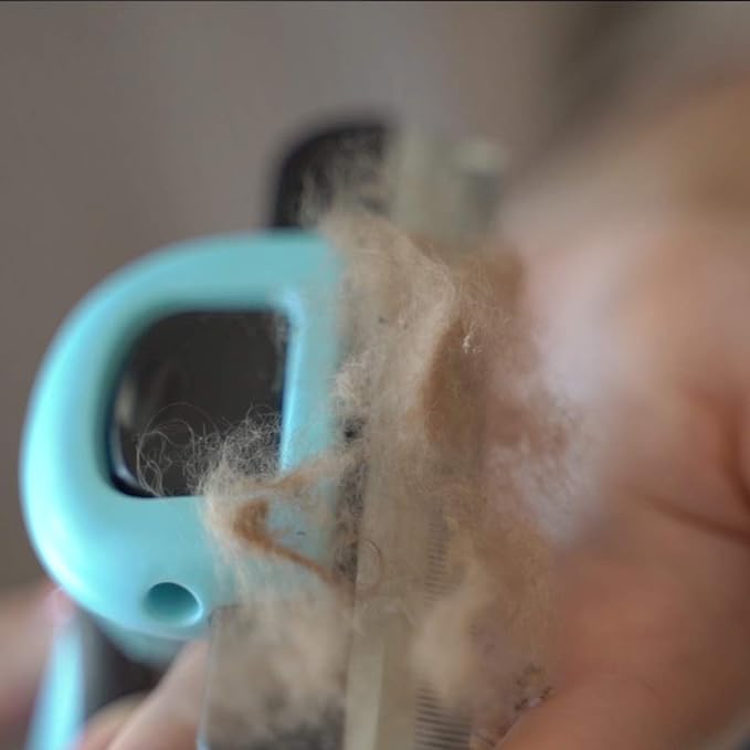 Cat Brush & Cat Comb for Shedding, 2.5inch Blue - Hair Brush for Long Hair and Short Hair, Pet Grooming Tool for Small to Medium Dogs and Cats, Detangle, Eco Friendly, Weekly Grooming