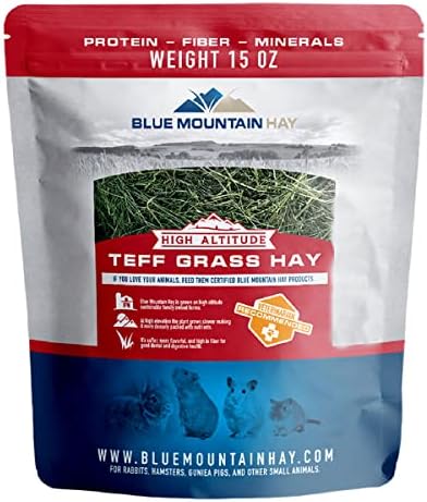 Blue Mountain Hay | Fresh Teff Grass Hay (40 Ounce) | Low NSC, High Fiber, Healthy Weight Management | High-Altitude Hay Pet Food for Rabbits, Guinea Pigs, Chinchillas, Hamsters, and Other Small Pets