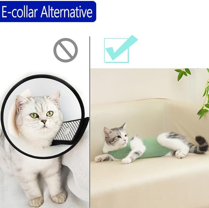 Cat Surgery Recovery Suit Professional for Surgical Abdominal Wound Or Skin Diseases E-Collar Alternative for Cats After Surgery Wear Pajama Suit (Green, Small)
