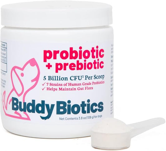 Buddy Biotics Probiotic + Prebiotic for Dogs- Gut Flora Health, Digestive and Immune Health, Diarrhea and Bowel Support – 5 Billion CFU per Scoop