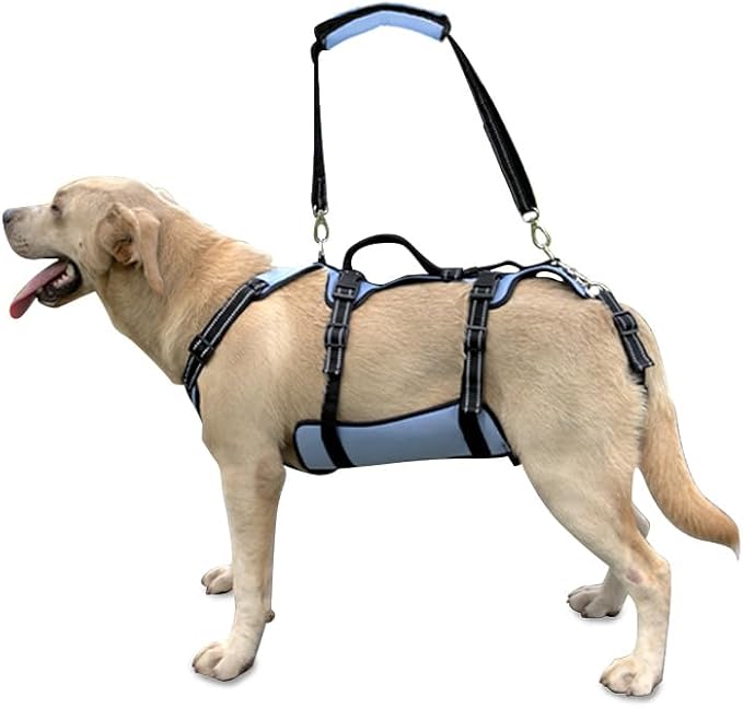 Coodeo Dog Lift Harness, Full Body Support & Recovery Sling, Pet Rehabilitation Lifts Vest for Old Dog with Arthritis Walk(Bule,L)