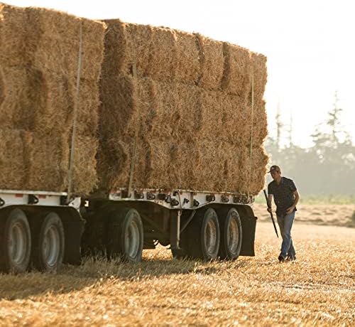 Blue Mountain Hay | Fresh Teff Grass Hay (40 Ounce) | Low NSC, High Fiber, Healthy Weight Management | High-Altitude Hay Pet Food for Rabbits, Guinea Pigs, Chinchillas, Hamsters, and Other Small Pets